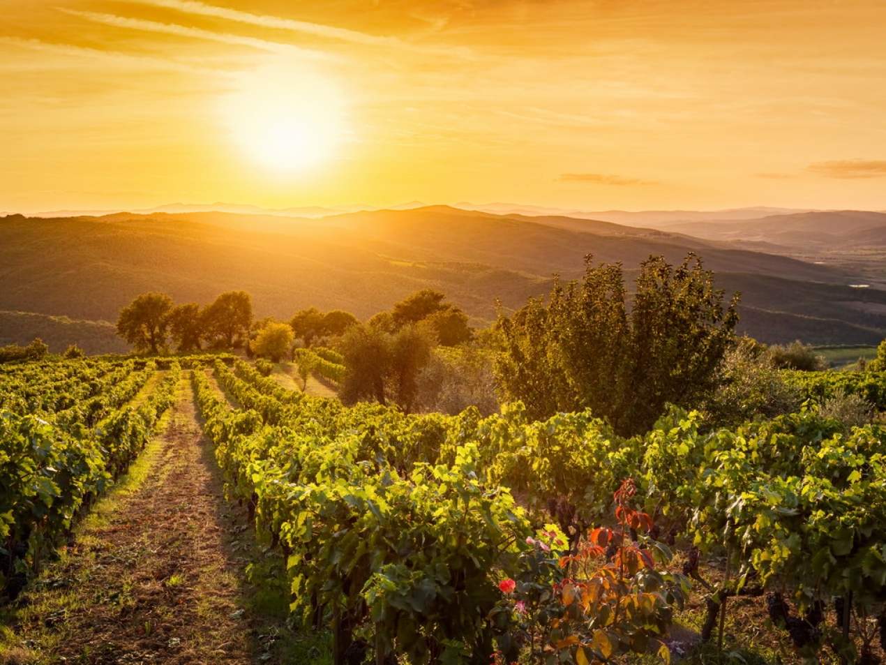 Alla scoperta della Toscana